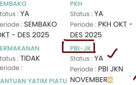 cara cek keaktifan PBI JK